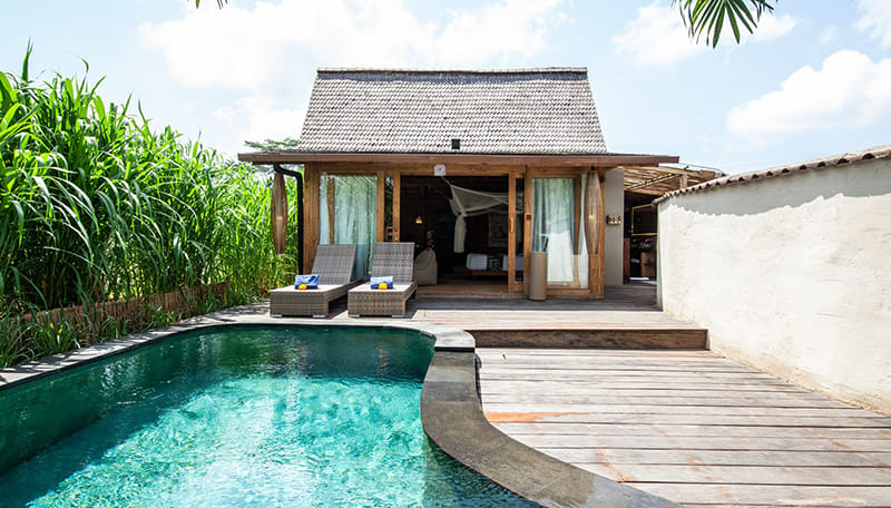 Blue Karma Dijiwa Ubud номер 2