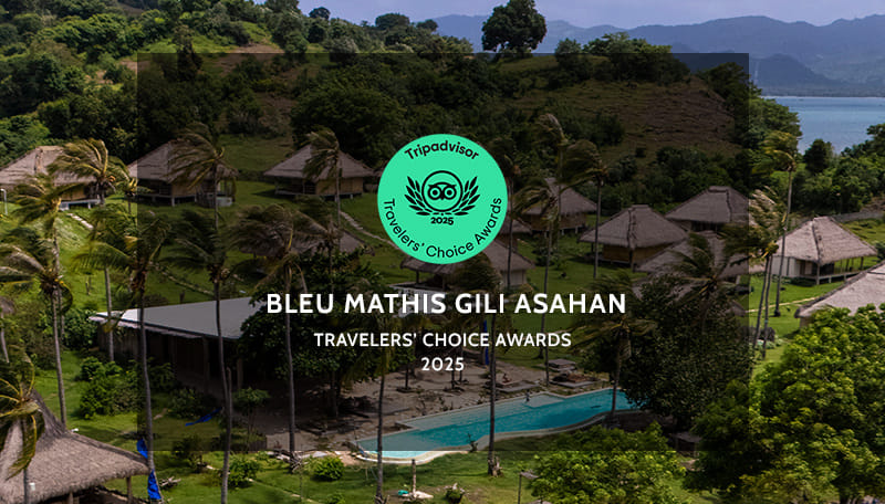 Bleu MATHIS Gili Asahan фото 3
