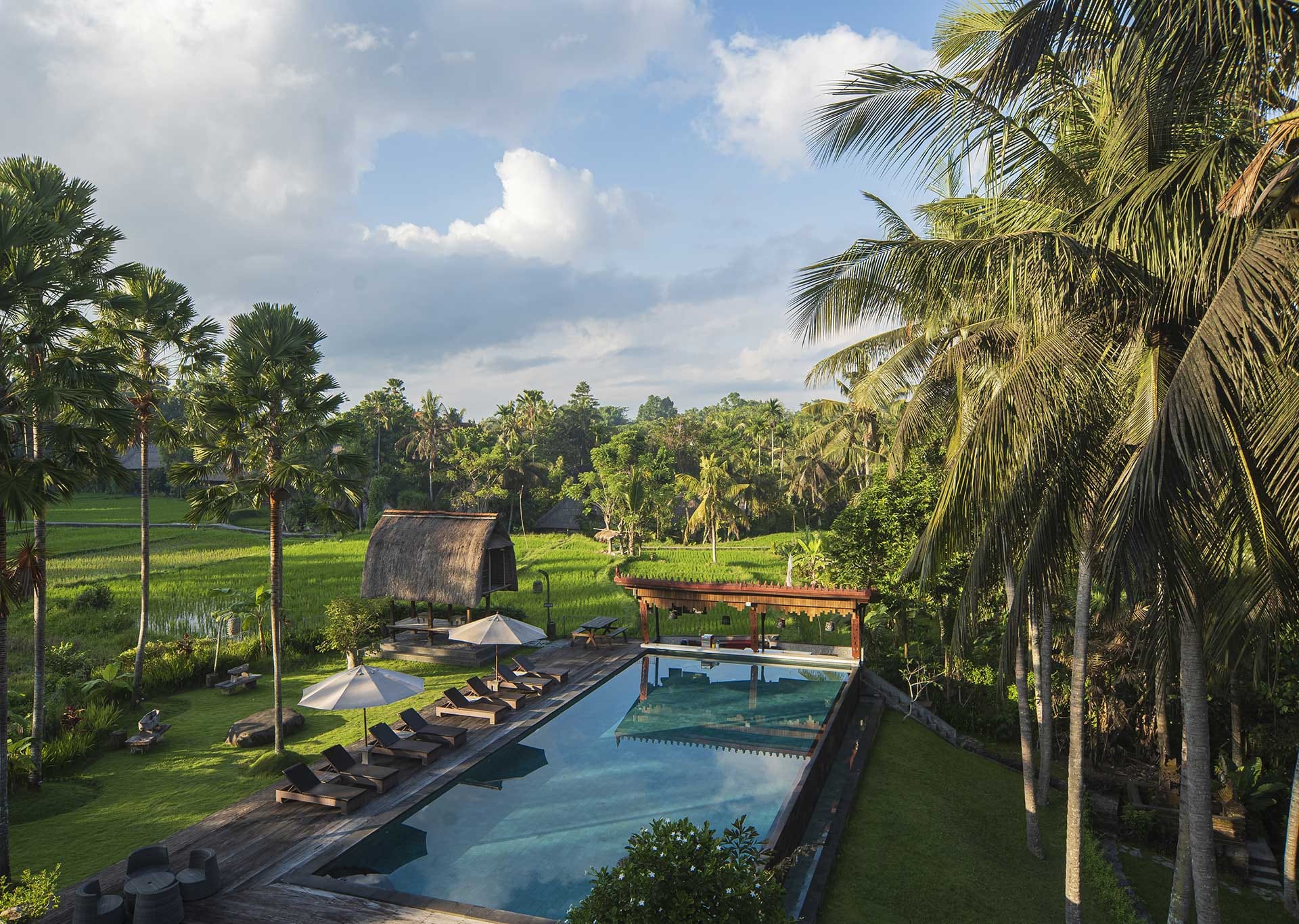 The Artini Dijiwa Ubud — Убуд, Бали